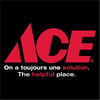 ACE Logo ACE