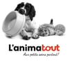 L'animatout Logo L'animatout