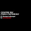 Logo PNEUS Papineau