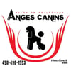 Logo Toilettage ANGES CANINS