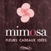 Logo Mimosa Fleurs et Cadeaux