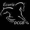 Logo Écurie DCGB