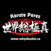 Logo Karaté Perez