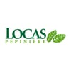 Logo Pépinière Locas