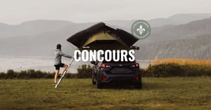 Concours Wildtek