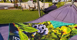 Concours Délices du Lac-Saint-Jean Économusée