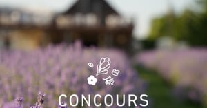 Concours La Maison Lavande
