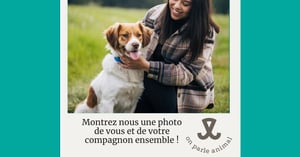 Concours Gagnez une carte-cadeau Pattes Et Griffes de 100$! Concours Pattes Et Griffes
