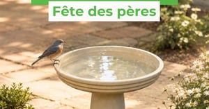 Concours Gagnez un bain d'oiseau! Concours Botanix Jardin Dion