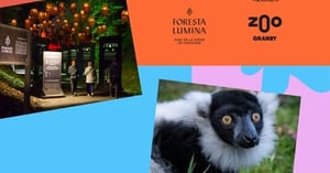 Concours Foresta Lumina
