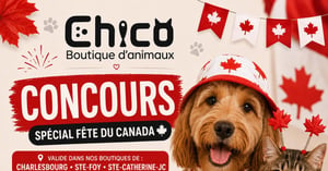 Concours Chico Sainte Catherine Jacques Cartier- Boutique d'animaux (4526 Rte de Fossambault)