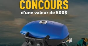 Concours Canard du Lac Brome.