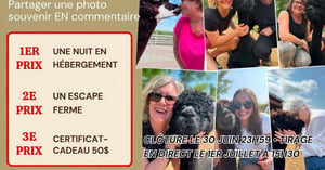 Concours La casa d’alpagas
