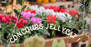 Concours Mlle et Coco