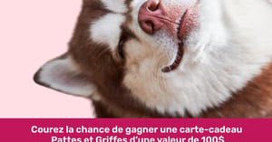 Concours Pattes Et Griffes