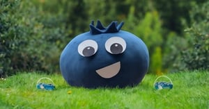 Concours Gagnez un certificat-cadeau d'une valeur de 50$ dans une bleuetière membre de Bleuets d'ici, près de chez vous! Concours Bleuets d'ici