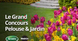 Concours Gagnez 1 an de produits Scotts et Miracle-Gro d'une valeur de 2000$ + des lots mensuels de 150$!
