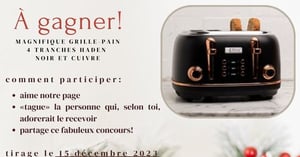Concours Gagnez un grille-Pain Haden noir et cuivre!