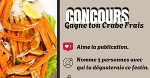 Concours Mermax inc.