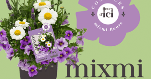 Concours Gagnez un ensemble de fleurs vivaces et annuelles! Concours Du Jardin dans ma vie