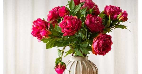 Fleurs coups de cœur pour embellir votre été!