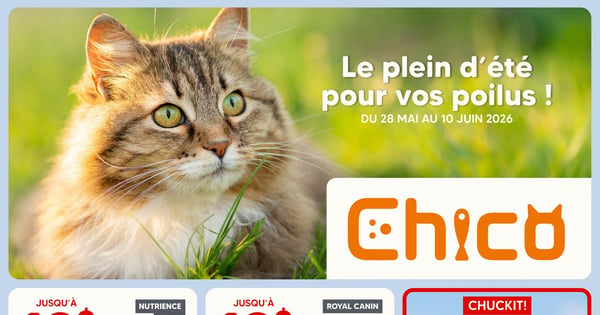 Circulaire Chico Boutique d'Animaux