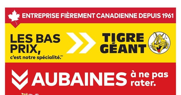 Circulaire Tigre Géant