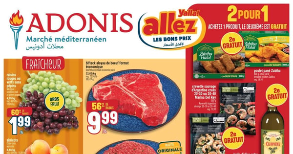Circulaire Adonis