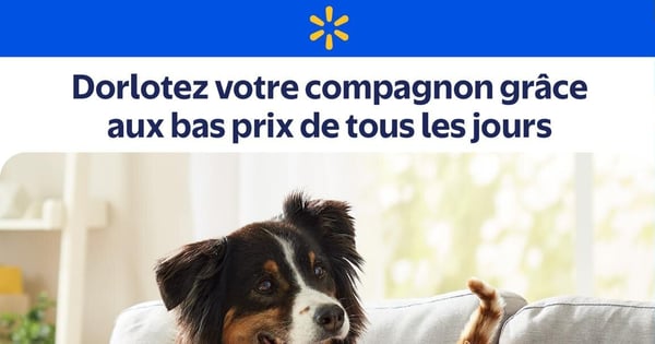 Circulaire Walmart - Promo pour Animaux