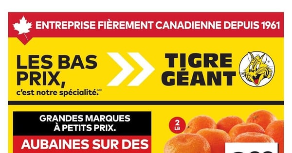 Circulaire Tigre Géant