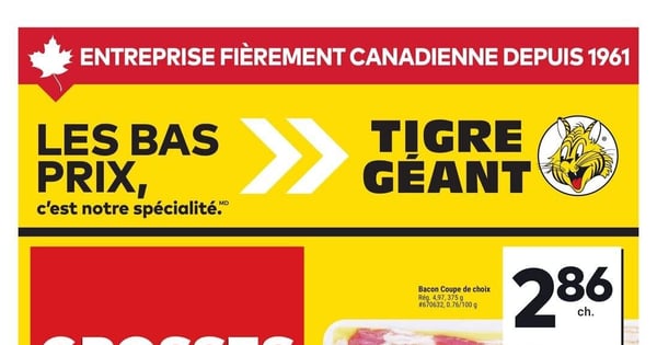 Circulaire Tigre Géant