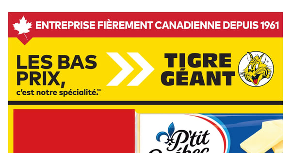 Circulaire Tigre Géant