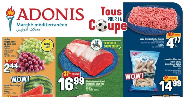 Circulaire Adonis
