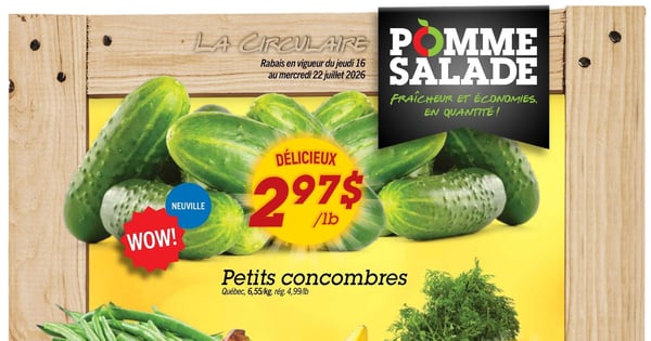 Circulaire Pomme Salade