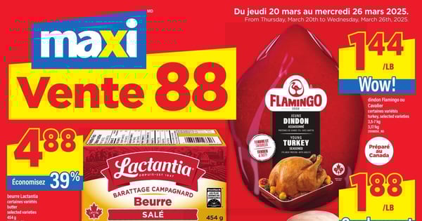 Circulaire Maxi