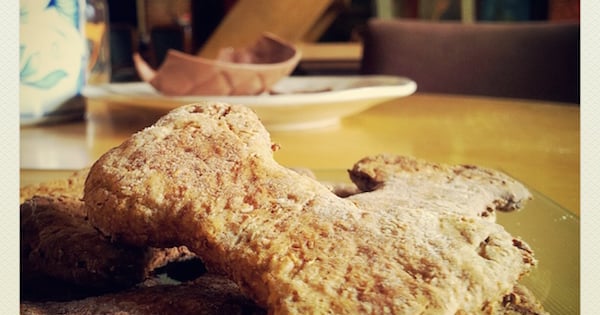 BISCUITS AU MIEL ET FLOCONS D’AVOINE POUR CHIEN