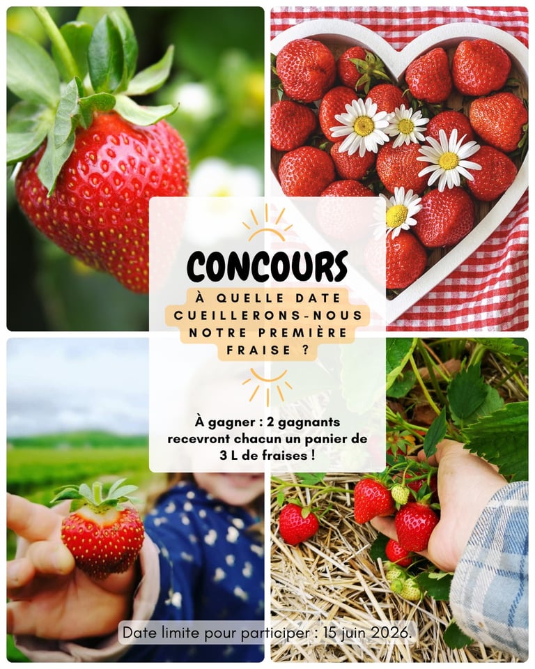 Concours Gagnez l'un des deux paniers de 3L de fraises fraîches!