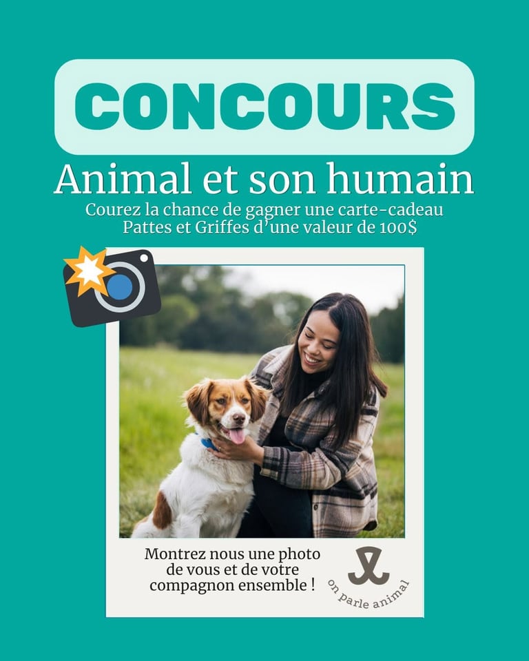Concours Gagnez une carte-cadeau Pattes Et Griffes de 100$!