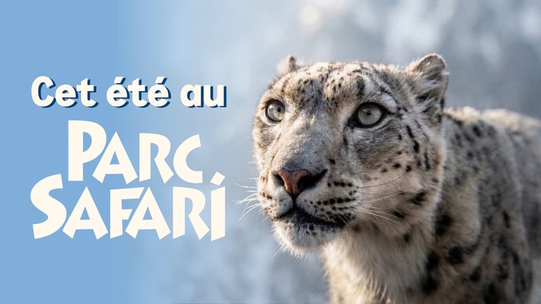 Concours Rythme FM 105,7 Gagnez un laissez-passer familial pour vivre l'aventure au Parc Safari!