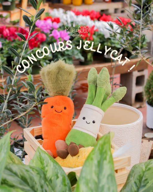 Concours Gagnez une carotte ou un asperge Jellycat!