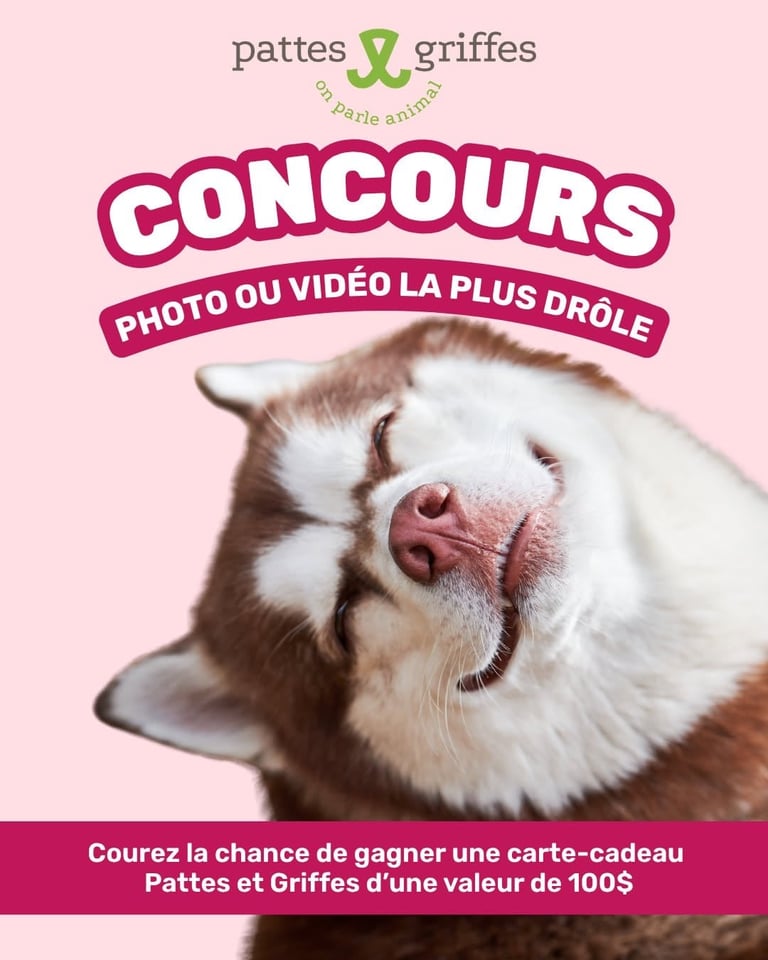 Concours Gagnez une carte-cadeau Pattes et Griffes de 100$!