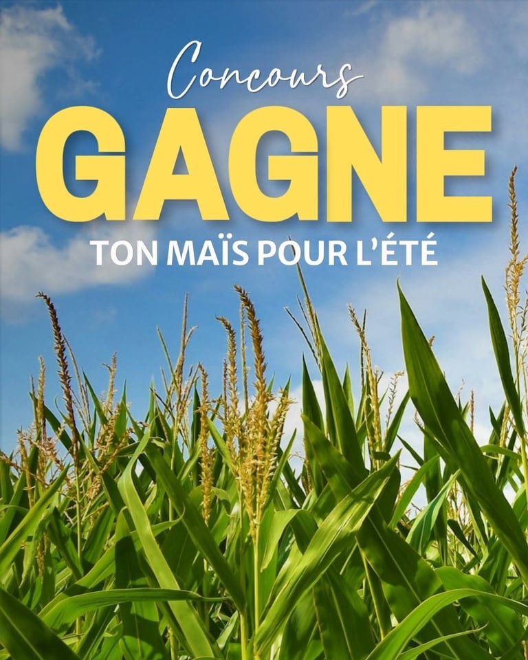 Concours Gagnez votre maïs pour l'été!
