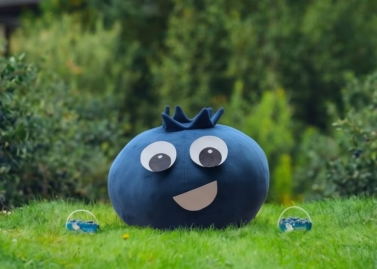 Concours Gagnez un certificat-cadeau d'une valeur de 50$ dans une bleuetière membre de Bleuets d'ici, près de chez vous!