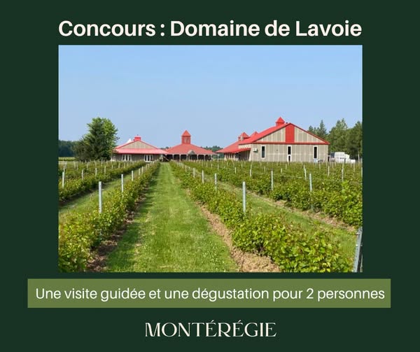 Concours Gagnez une visite guidée et une dégustation pour 2 personnes au Domaine de Lavoie - Vignoble et cidrerie!