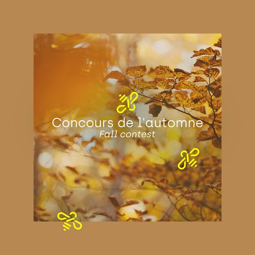 Concours Miel au Carré - Gagnez un ensemble-cadeau!