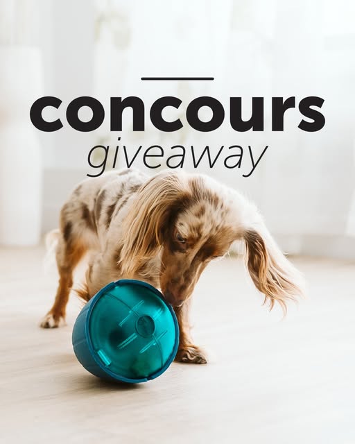 Concours Beonebreed - Gagnez un OBEE! Snak pour divertir votre compagnon!