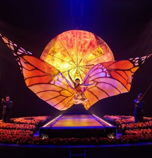 Concours Gagnez 4 billets pour le Cirque du Soleil !