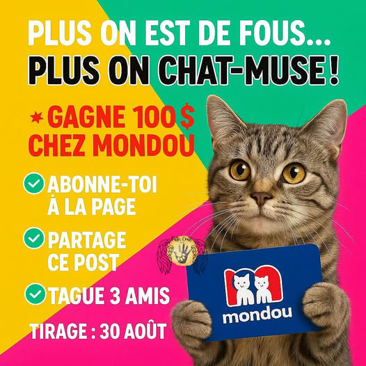 Concours Patrichats - Gagnez une carte cadeau MONDOU de 100$ !