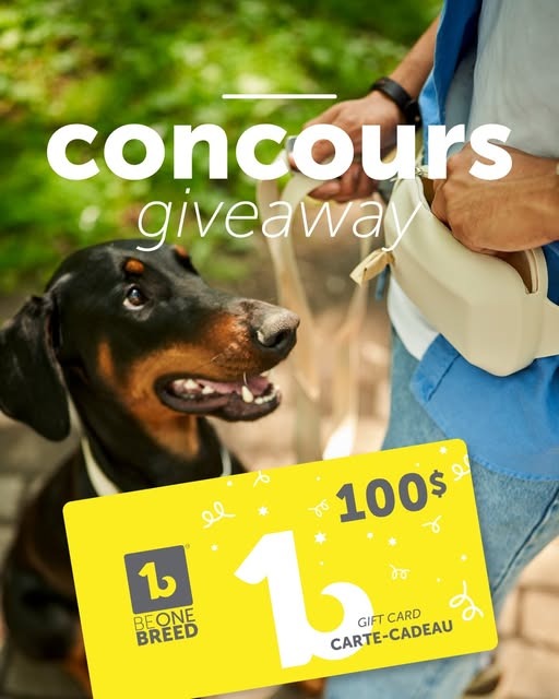 Concours Gagnez une carte cadeau de 100 $ Beonebreed !