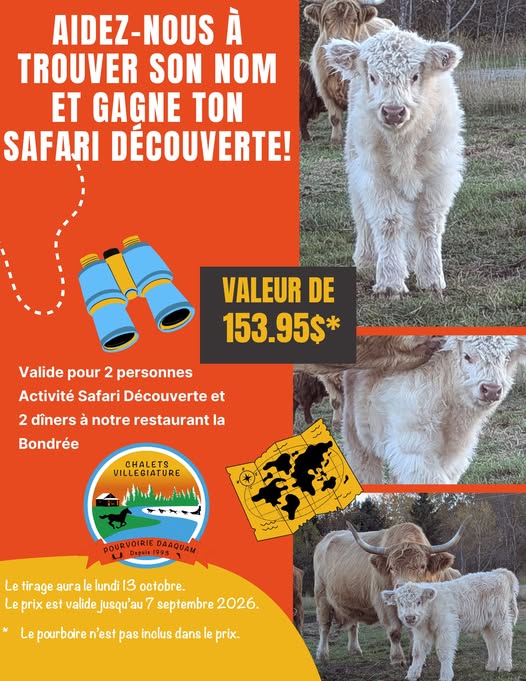 Concours Chalets Villégiature et Pourvoirie Daaquam - Gagnez un safari photo découverte avec un dîner à notre restaurant La Bondrée!